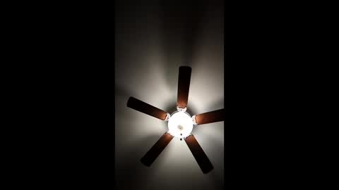 mrorange50187 online show from 8, 1, 2025