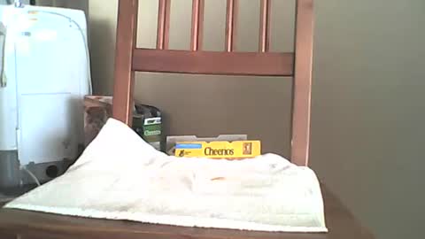 Longshot online show from 6, 10, 2025