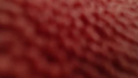 rooster70 online show from 27, 4, 2026