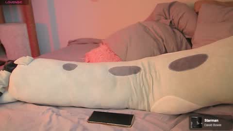 Allison online show from 28, 3, 2026