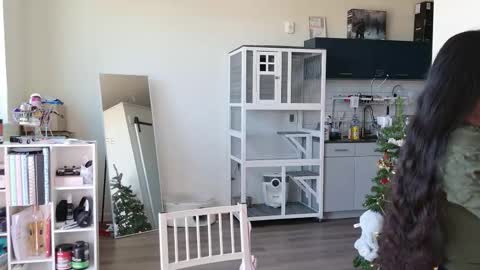 R o r i  SnapChat heyroriv2 wednesday - sunday Noon oclock mountain - 5pm mountain online show from 25, 10, 2025