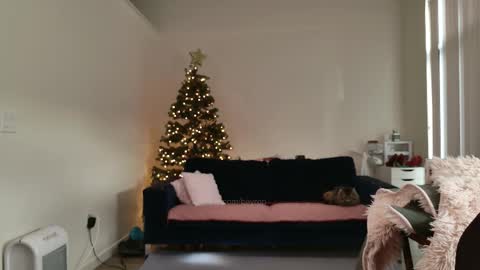 Snapshot of ms_mochii chatting on 12, 2, 2026 R o r i SnapChat heyroriv2 wednesday - sunday Noon oclock mountain - 5pm mountain online show from 12, 2, 2026