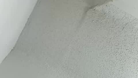 melissa online show from 11, 3, 2026