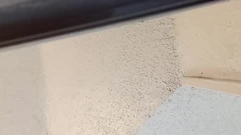 melissa online show from 14, 3, 2026