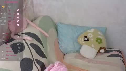 muerta1 online show from 26, 11, 2025