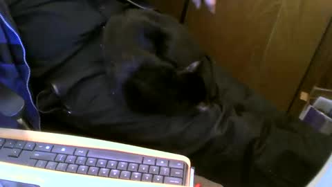 muller520 online show from 13, 2, 2025