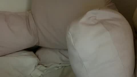   online show from 29, 12, 2024