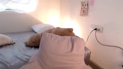   online show from 17, 2, 2026