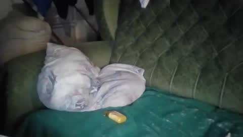 musclebabu online show from 13, 11, 2025