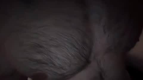 Snapshot of musclehair3 chatting on 14, 2, 2025 musclehair3 online show from 14, 2, 2025