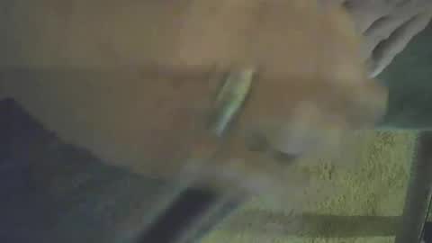 musicman2021 online show from 26, 10, 2025