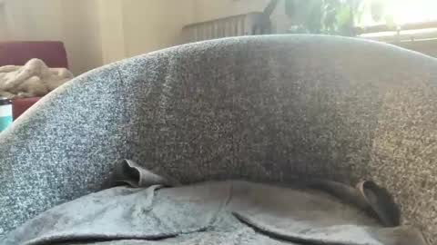 muslgut online show from 9, 3, 2025