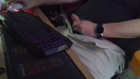 Muso online show from 21, 11, 2025