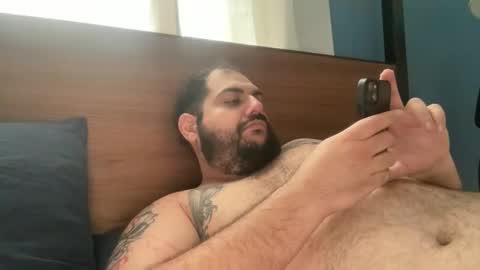 Bear online show from 20, 5, 2026