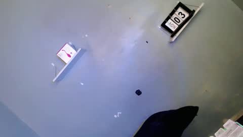 jasmine online show from 3, 11, 2025