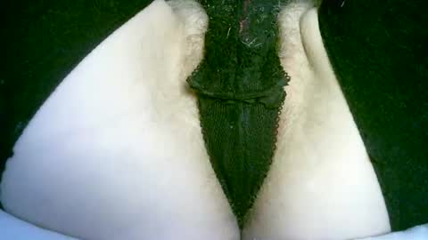 my_tightholes online show from 10, 7, 2026