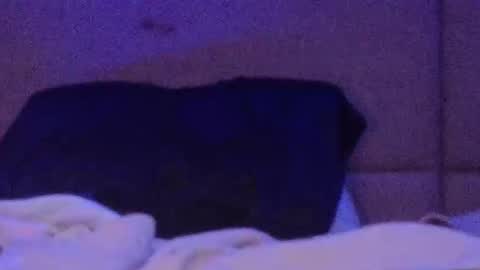 Snapshot of mycloudyalt chatting on 21, 3, 2026 mycloudyalt online show from 21, 3, 2026