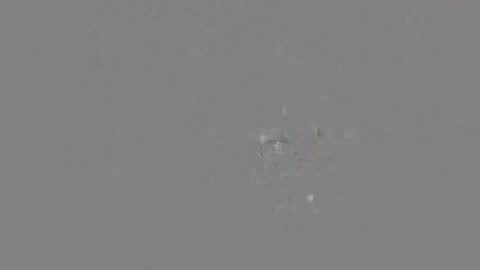 n00beans online show from 23, 9, 2025