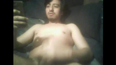 n71gaylove online show from 24, 12, 2024