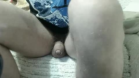 nachtigall25 online show from 27, 2, 2026