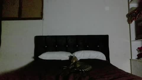 Nahomy online show from 1, 4, 2026