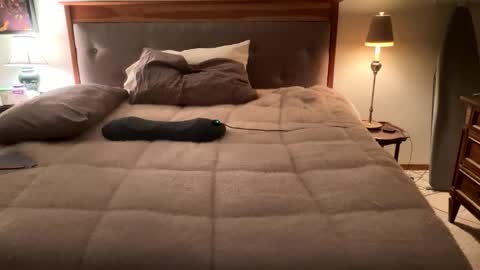 Masturbating boys need to be spanked. online show from 12, 4, 2026