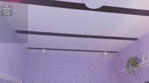 nalapalmer online show from 18, 3, 2026