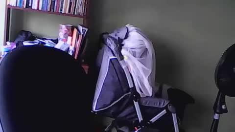 nana_666_ online show from 17, 11, 2025