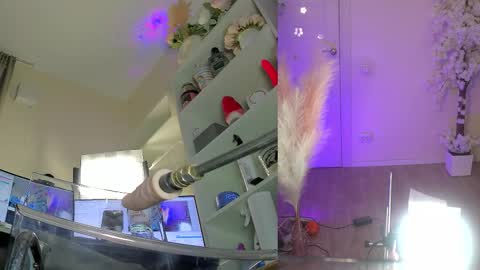 Snapshot of nancy_winter chatting on 3, 2, 2026 INSTAGRAM bekkercat online show from 3, 2, 2026