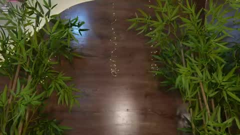 naomi_rex online show from 11, 5, 2026