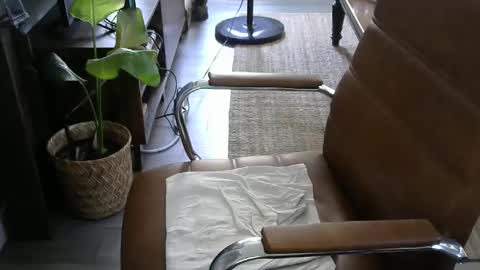 nareth338 online show from 19, 9, 2025