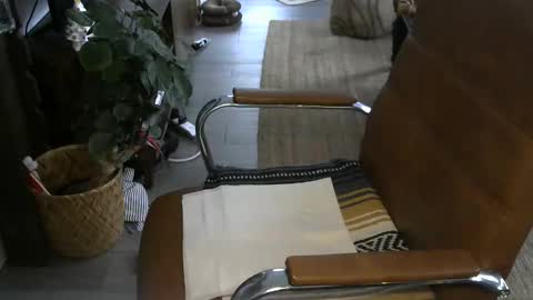 Snapshot of nareth338 chatting on 6, 1, 2026 nareth338 online show from 6, 1, 2026