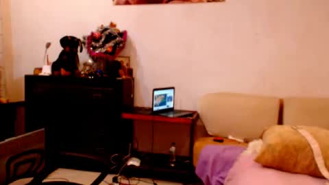 natali online show from 24, 12, 2024