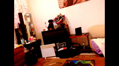 natali online show from 28, 12, 2024