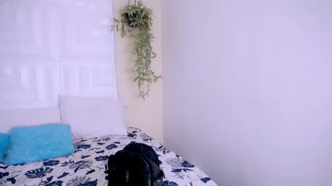 NATALY online show from 25, 4, 2026