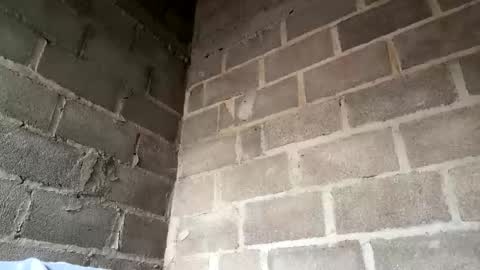 Snapshot of natasha__magics chatting on 1, 2, 2026 natasha__magics online show from 1, 2, 2026