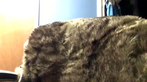 Snapshot of nathana478961 chatting on 5, 1, 2025 Nathann online show from 5, 1, 2025