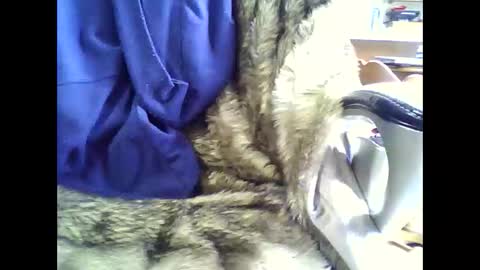 Snapshot of nathana478961 chatting on 5, 3, 2025 Nathann online show from 5, 3, 2025