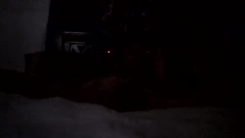 Snapshot of nativeboi22 chatting on 17, 2, 2026 Haven online show from 17, 2, 2026