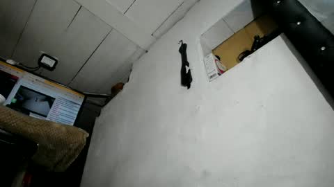 natalia online show from 23, 6, 2026