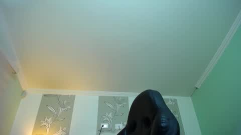 Kitten online show from 12, 1, 2025