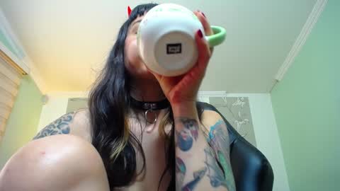 Kitten online show from 12, 1, 2025
