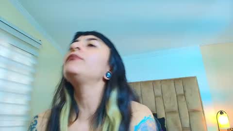 Kitten online show from 4, 3, 2026