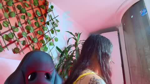 Kitten online show from 9, 4, 2026