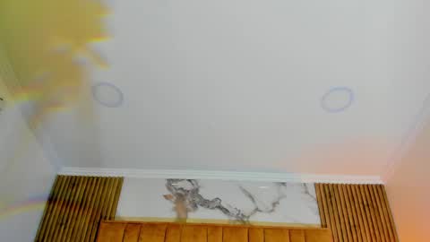 Kitten online show from 8, 5, 2026