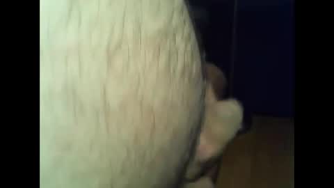 ncbncb online show from 1, 12, 2024