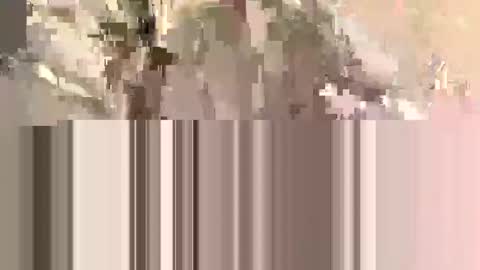 ndsckd online show from 12, 9, 2025