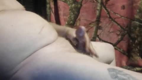 Snapshot of ned_is_naughty chatting on 7, 3, 2026 ned is naughty online show from 7, 3, 2026