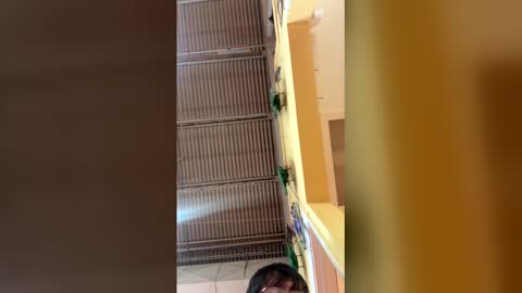 neiilhntrxxx online show from 12, 1, 2026