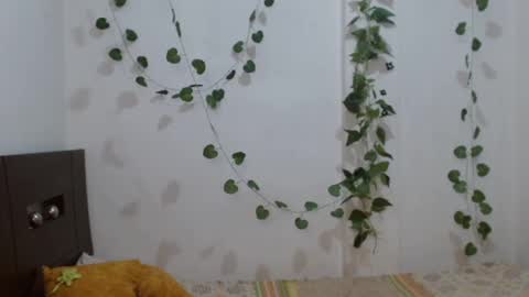 Neithanzyn online show from 6, 2, 2025